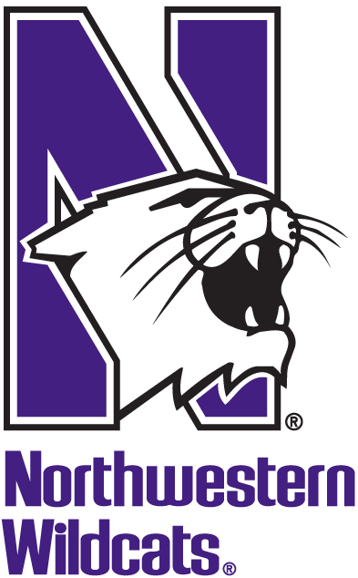 Northwestern Wildcats 1981-Pres Alternate Logo v2 diy iron on heat transfer